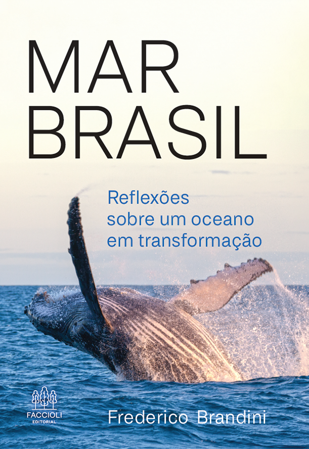 capa-livro-sembordamarbrasil